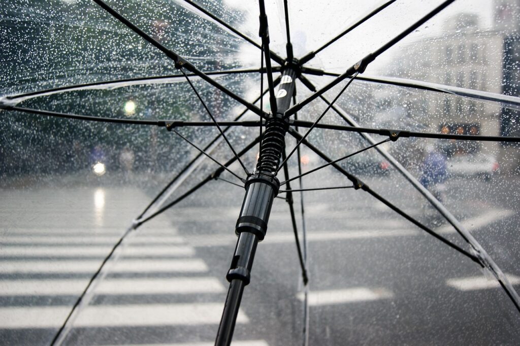 sapato social chuva