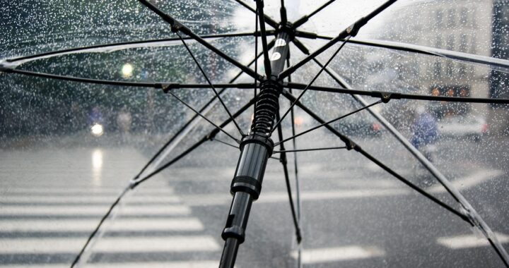 sapato social chuva